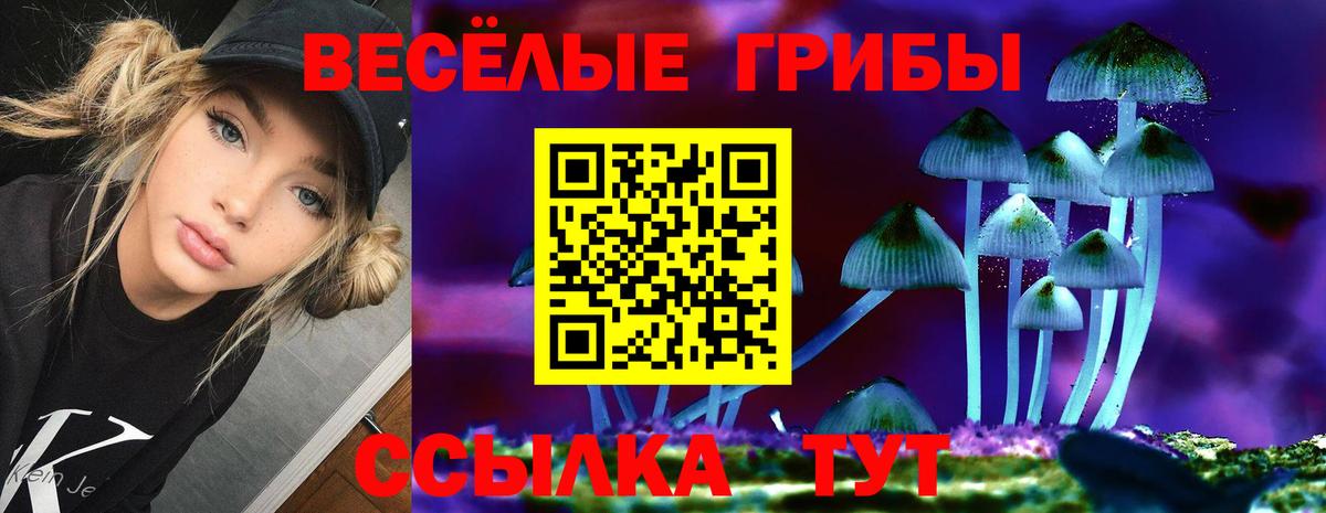 Галлюциногенные грибы Psilocybe Карабулак