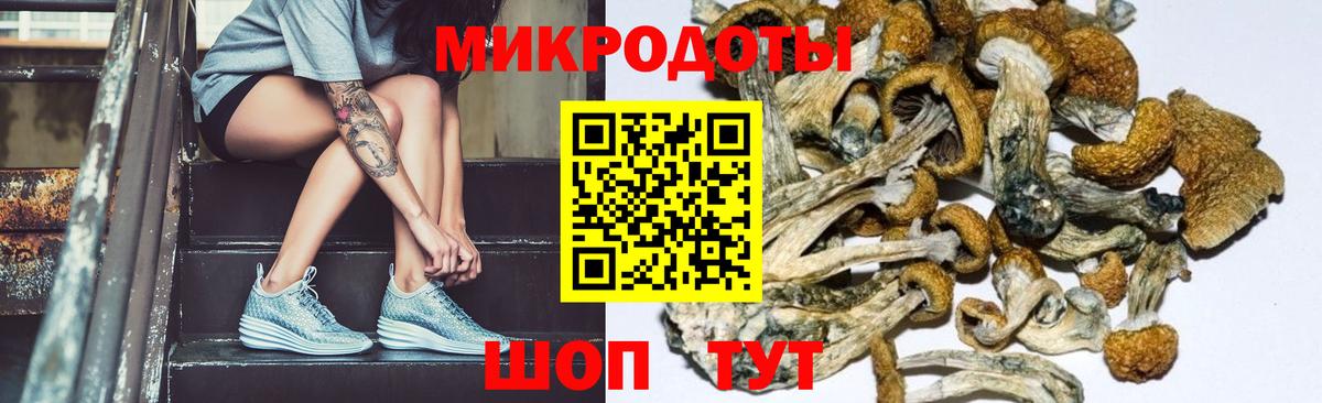 купить наркотик  Карабулак  Псилоцибиновые грибы мухоморы 